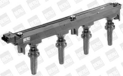 Ignition Coil BorgWarner (BERU) ZS353