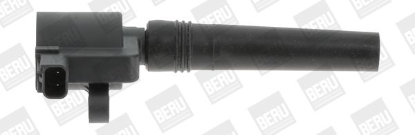 BorgWarner (BERU) ZS368 Ignition Coil
