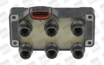 Ignition Coil BorgWarner (BERU) ZS371