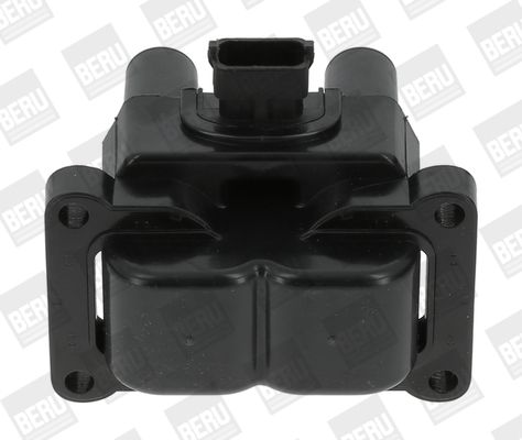 BorgWarner (BERU) ZS395 Ignition Coil
