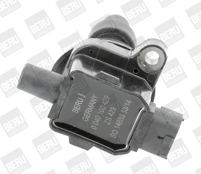 Ignition Coil BorgWarner (BERU) ZS429