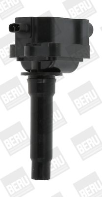Ignition Coil BorgWarner (BERU) ZS434