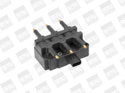 Ignition Coil BorgWarner (BERU) ZS455