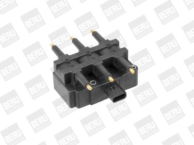Ignition Coil BorgWarner (BERU) ZS456