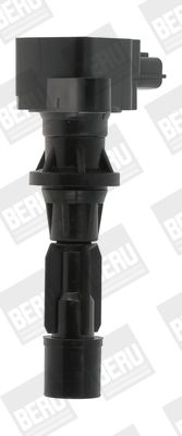 Ignition Coil BorgWarner (BERU) ZS488