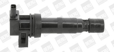 Ignition Coil BorgWarner (BERU) ZS531