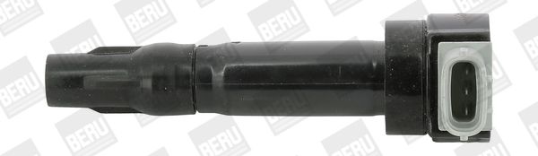 BorgWarner (BERU) ZS547 Ignition Coil