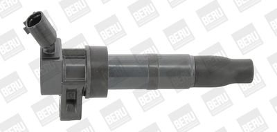 Ignition Coil BorgWarner (BERU) ZS548