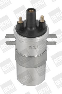 BorgWarner (BERU) ZS566 Ignition Coil