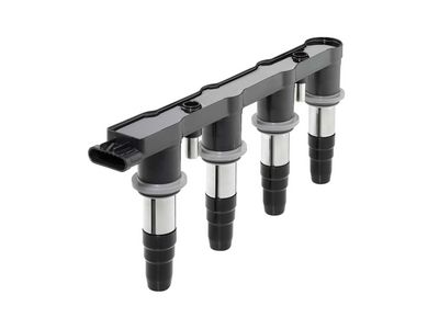 Ignition Coil BorgWarner (BERU) ZS571