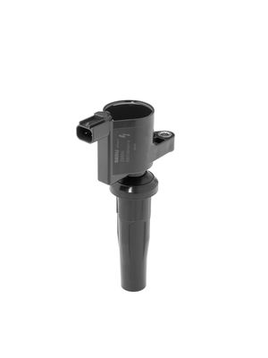 Ignition Coil BorgWarner (BERU) ZS600