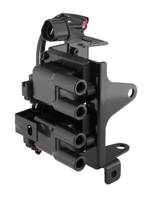 Ignition Coil BorgWarner (BERU) ZS611