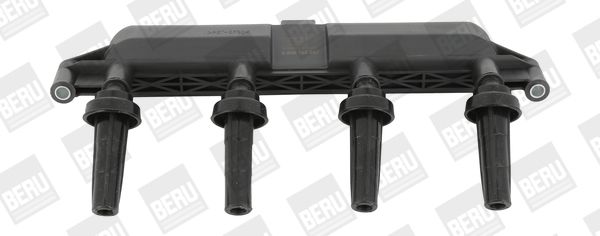 BorgWarner (BERU) ZSE047 Ignition Coil