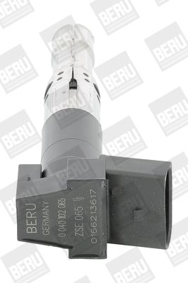 Ignition Coil BorgWarner (BERU) ZSE065