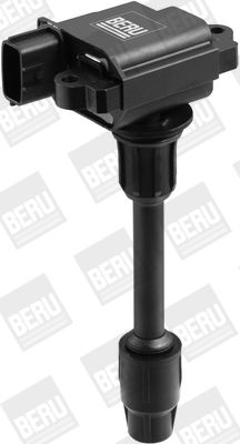 Ignition Coil BorgWarner (BERU) ZSE071