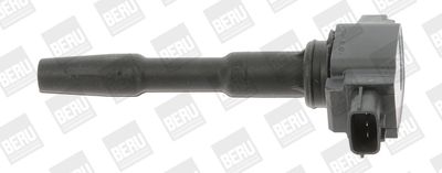 Ignition Coil BorgWarner (BERU) ZSE131