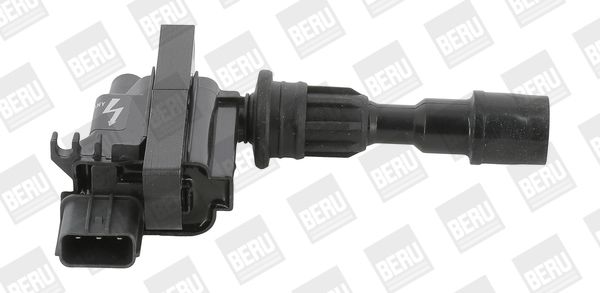 BorgWarner (BERU) ZSE190 Ignition Coil