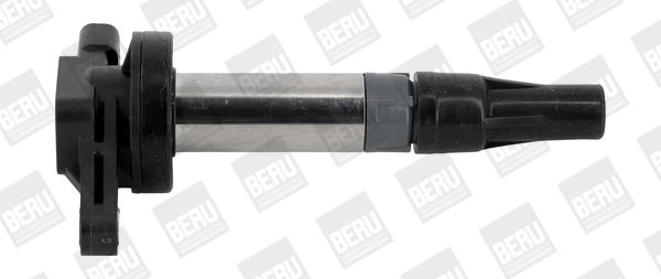 BorgWarner (BERU) ZSE196 Ignition Coil