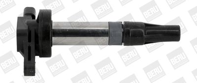 Ignition Coil BorgWarner (BERU) ZSE196