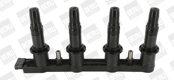 BorgWarner (BERU) ZSE198 Ignition Coil