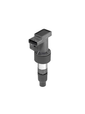 Ignition Coil BorgWarner (BERU) ZSE205