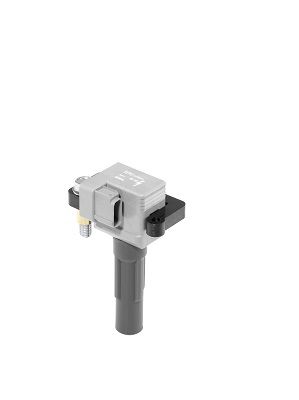 BorgWarner (BERU) ZSE213 Ignition Coil