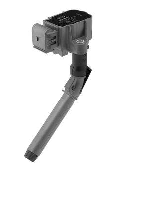 Ignition Coil BorgWarner (BERU) ZSE263