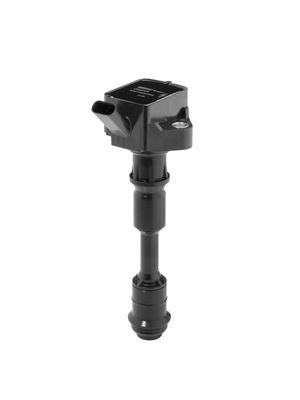 Ignition Coil BorgWarner (BERU) ZSE294