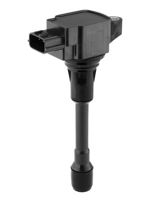 Ignition Coil BorgWarner (BERU) ZSE302