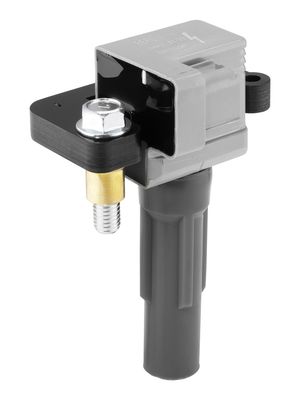 Ignition Coil BorgWarner (BERU) ZSE313