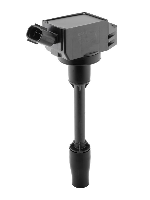 BorgWarner (BERU) ZSE318 Ignition Coil