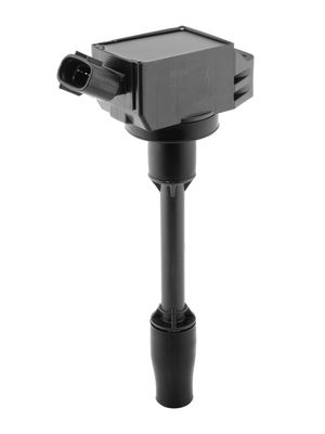 Ignition Coil BorgWarner (BERU) ZSE318