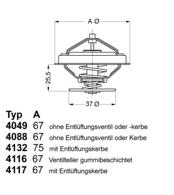 BorgWarner (Wahler) 4049.87D Thermostat, coolant