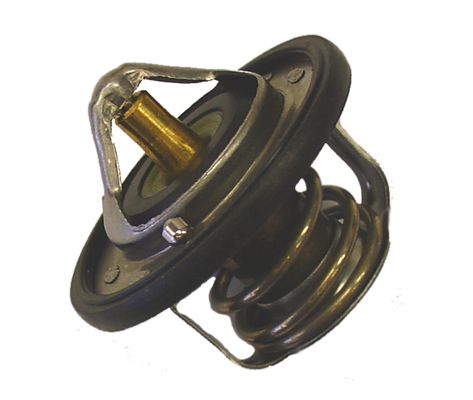 BorgWarner (Wahler) 410229.82D Thermostat, coolant