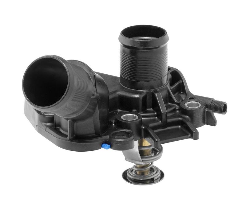 BorgWarner (Wahler) 411025.89D Thermostat, coolant