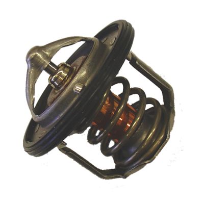 BorgWarner (Wahler) 411716.88D Thermostat, coolant