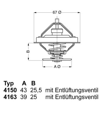 BorgWarner (Wahler) 4163.79D Thermostat, coolant