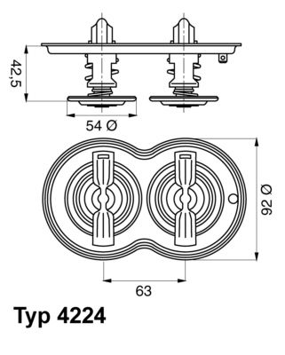 BorgWarner (Wahler) 4224.80D Thermostat, coolant