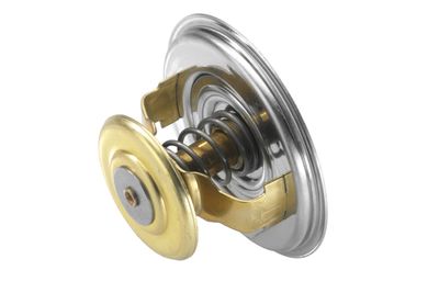 Thermostat, coolant BorgWarner (Wahler) 4520.75