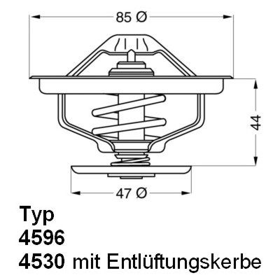 Thermostat, coolant BorgWarner (Wahler) 4596.83D