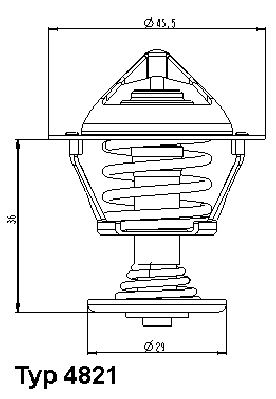 Thermostat, coolant BorgWarner (Wahler) 4821.89D
