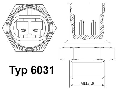 Temperature Switch, radiator fan BorgWarner (Wahler) 6031.100D