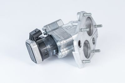 EGR Valve BorgWarner (Wahler) 710072D