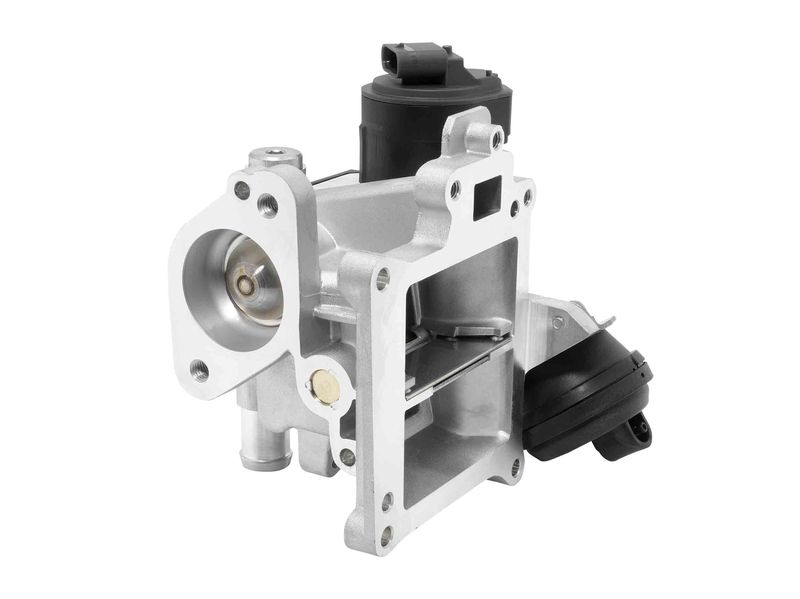 BorgWarner (Wahler) 710488D0 EGR Valve