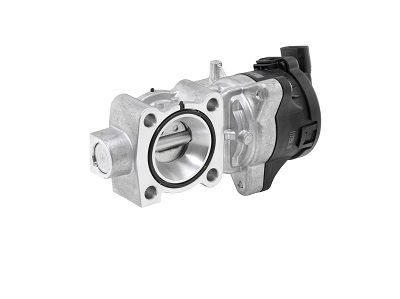 EGR Valve BorgWarner (Wahler) 72147557D