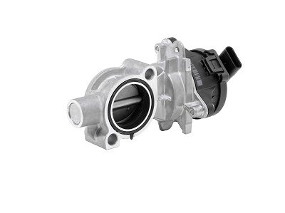 BorgWarner (Wahler) 72147558D EGR Valve