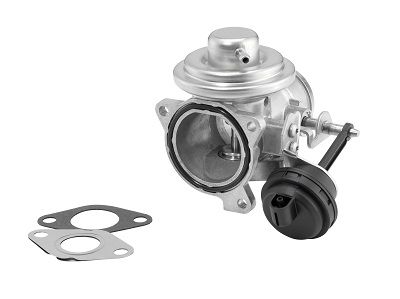 BorgWarner (Wahler) 7283D/1 EGR Valve