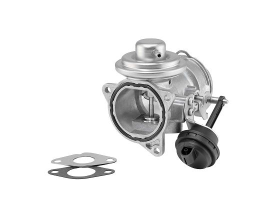 BorgWarner (Wahler) 7371D/1 EGR Valve