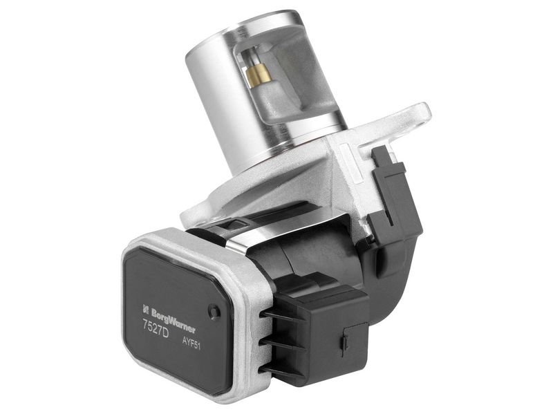 BorgWarner (Wahler) 7527D EGR Valve
