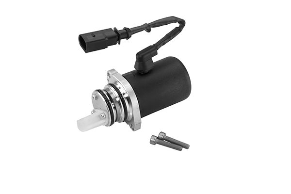 BorgWarner DS118577 Pump, multi-plate clutch (all-wheel drive)